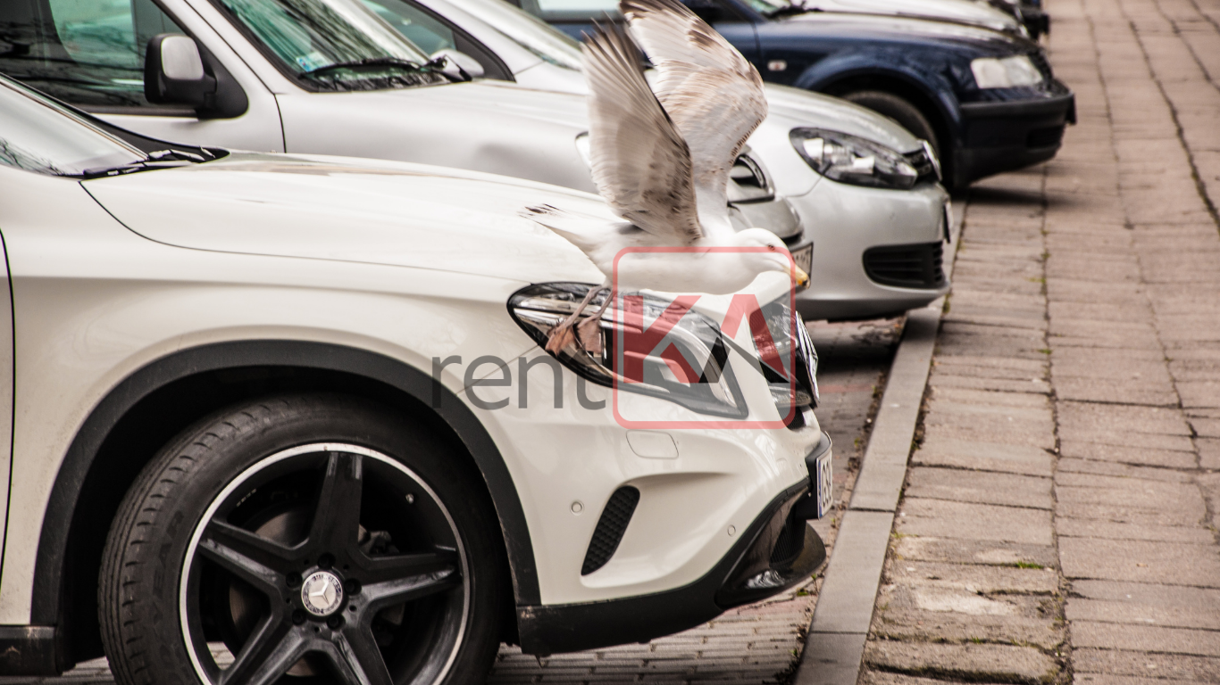 Eskişehir’de Ekonomik ve Güvenilir Oto Kiralama Rehberi - Eskişehir Araç Kiralama